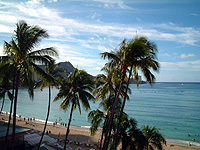 hnl