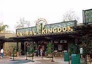 wdw3_182