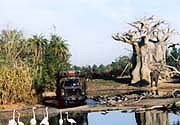 wdw3_195